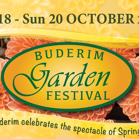 Buderim gardeners preparing for the anticipated spectacle of spring – the Buderim Garden Festival